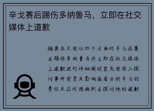 辛戈赛后踢伤多纳鲁马，立即在社交媒体上道歉
